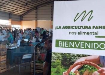 Feriantes de toda la provincia llegaron al barrio Itaembé Guazú de Posadas