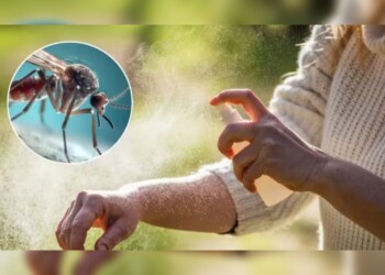 Repelentes: especialista brindó consejos sobre su uso y desalentó los caseros