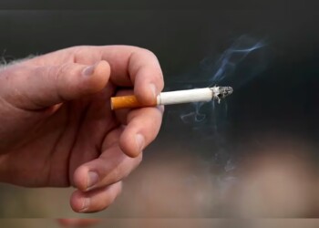 Gustavo Sáenz celebró la inclusión del capítulo tabacalero a la Ley Bases