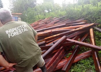 Ministro de Ecología prometió a madereros que sumariados “no volverán a controles”