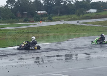 Arranque con lluvia para el semillero