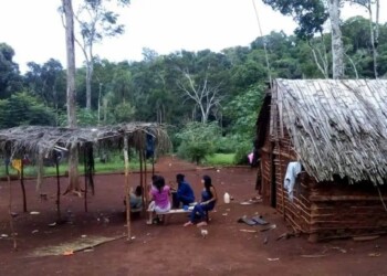 Escándalo en el Concejo de Delicia por dichos contra los mbya