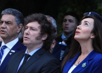 “El principal problema para Milei es la disparidad de criterios con las provincias en políticas públicas”