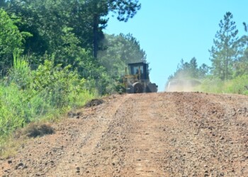 Municipios priorizan servicios y suspenden obras por el ajuste