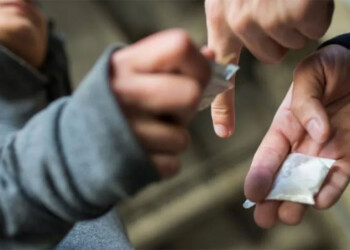 Capacitación para lograr un entorno laboral más seguro y saludable