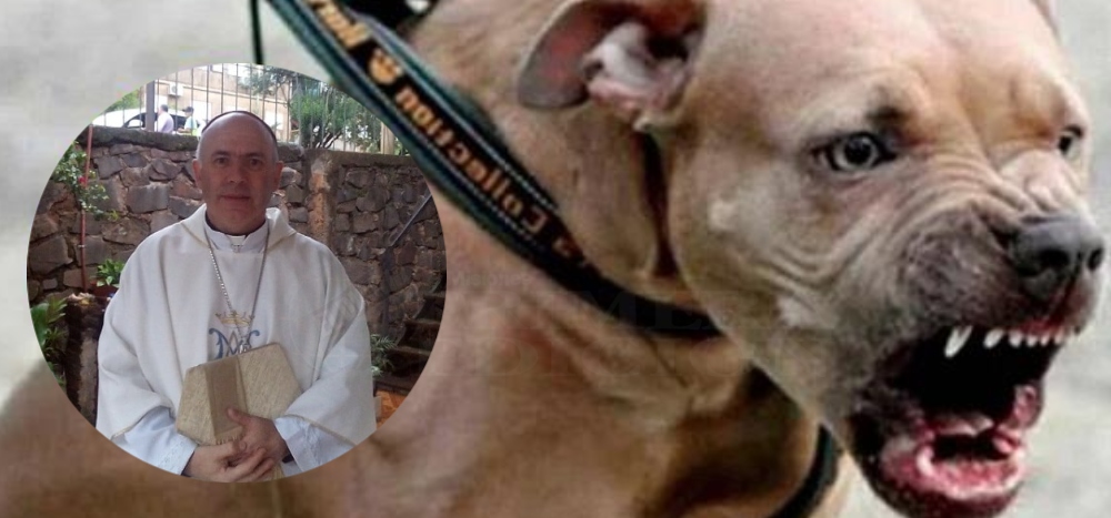 Para el obispo Bitar, los perros de razas peligrosas “son animales que se transforman en fieras y destruyen familias”
