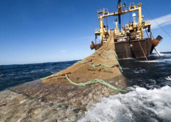 Buscan acelerar el tratamiento del proyecto para proteger el Mar Argentino de la sobrepesca extranjera