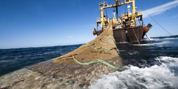 PESCA DE ARRASTRE. L nueva norma busca aportar claridad para fortalecer la vigilancia y las sanciones contra buques extranjeros que incurren en pesca ilegal.