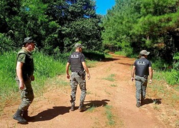 Misiones: un hombre deberá pagar más de medio millón por cazar en una reserva natural