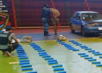 Incautaron en Aristóbulo del Valle casi 240 ladrillos de marihuana