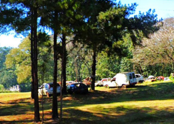 Investigan las comisarías de Puerto Libertad y Esperanza por el robo de motos y automóviles