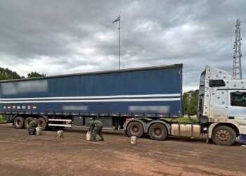 Narcotráfico: transportaban 85 litros de precursores químicos en un camión