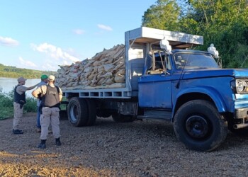 Contrabando en Misiones: decomisan 9 toneladas de soja y 4.000 atados de cigarrillos