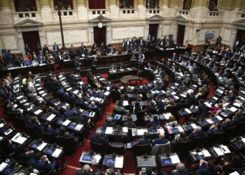 Ley Bases: la incorporación del capítulo tabacalero divide a los diputados misioneros