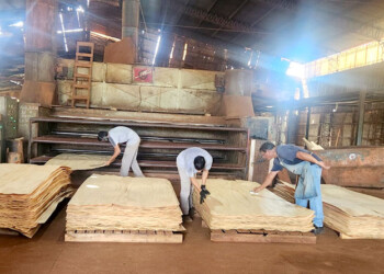 Tras parate de seis meses, Cooperativa Amanecer enviará laminados a Brasil