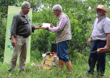 Reconocimiento del INYM: Colonia Primavera tiene al productor yerbatero del año 2023