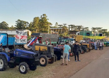 La Cámara Federal ratificó el fallo que suspende la desregulación de la yerba