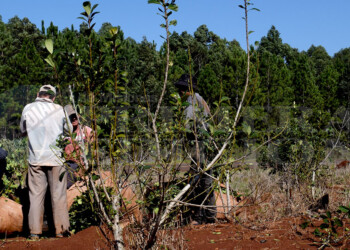 “El trabajo infantil es un desastre social muy ligado a la pobreza”