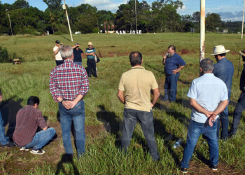 Asamblea de yerbateros: “Si desaparece  el INYM, vamos a desaparecer todos”