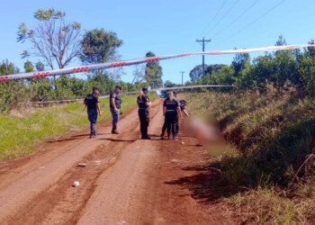 Imputaron por homicidio culposo al presunto dueño de pitbulls asesinos