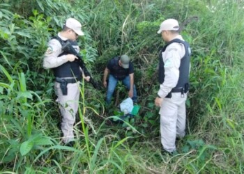 Secuestran mochila con dos kilos de cocaína que se “enfriaba” en el monte