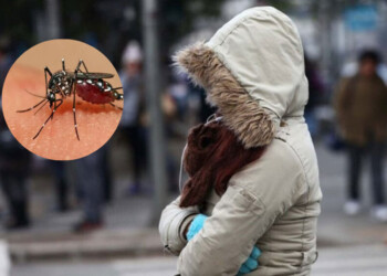 Por el descenso de temperatura y los hábitos de cuidado, podrían bajar los casos de dengue