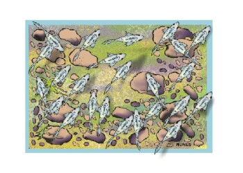 Escritores de Misiones: “Plateada”