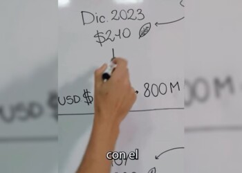 Con un pizarrón, Facundo López Sartori explicó la crisis de la yerba mate