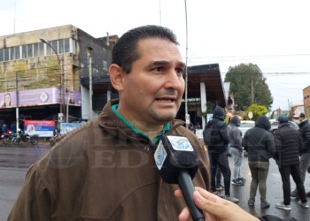 Suplementación estratégica para garantizar el bienestar