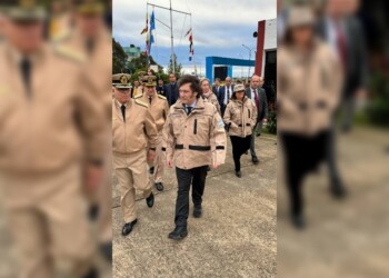 De qué marca  son y cuánto valen las zapatillas de Javier Milei que se hicieron virales