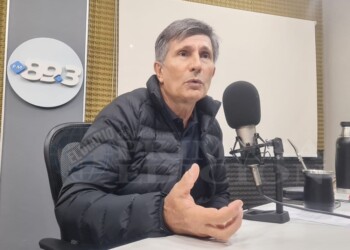 “El mercado de la yerba es imperfecto y necesita de un Estado que esté mirando”