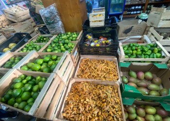 Misiones podría sumar productos al Mercado Central de Buenos Aires