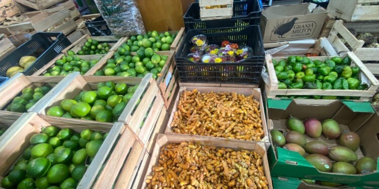 Foto gentileza C. López Forastier