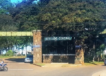 Por el flete, el morrón rojo se disparó 100% y podría faltar huevo por un faltante de vacunas