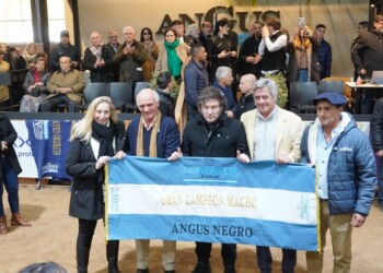 Milei: “Vamos a eliminar el Impuesto País y luego las retenciones para que el campo sea libre”