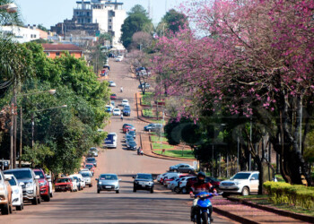 Se inaugurará en Oberá el primer Parque Olímpico Ambiental de Argentina