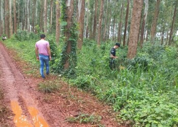 Le otorgaron la domiciliaria al patrón acusado de asesinar a un peón en Andresito