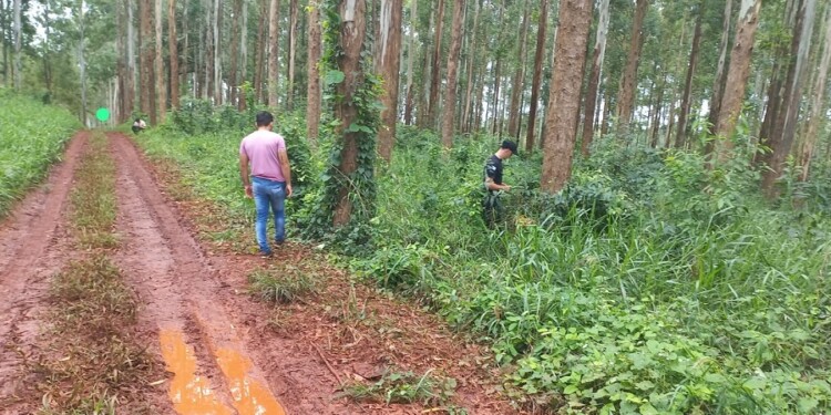 EMBOSCADA. Allí fueron atacados padre e hijo a tiros y los perdigones hasta quedaron incrustados en los árboles.
