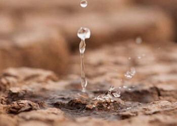 “La lluvia intensa puede ocasionar una erosión terrible en suelos desprotegidos”