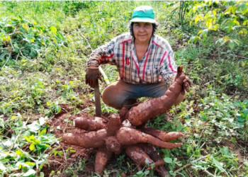 Produce alimentos sanos para toda la familia en una hectárea de Corpus