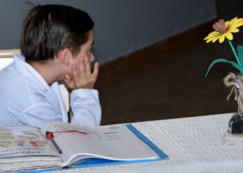 Misiones, la provincia donde más alumnos  cuentan sobre la violencia en sus casas