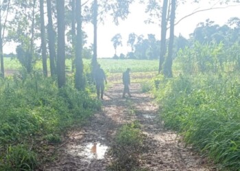 Dieron de alta al padre del joven que fue asesinado en Andresito