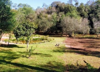 Wanda: soñó un emprendimiento turístico, pero nunca le bajaron la luz y ahora se va de Misiones