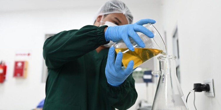 THD. El tetrahidrocannabinol es el principal constituyente psicoactivo del cannabis.