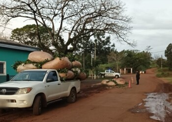 Panambí: dos hombres terminaron en el hospital tras caerse de una camioneta cargada de yerba
