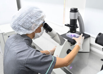 Investigaciones frenadas y pocos becados por el ajuste en la ciencia