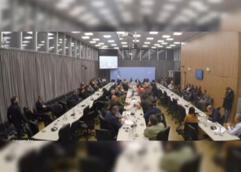 Productores yerbateros y tealeros llevaron sus problemáticas al Congreso nacional