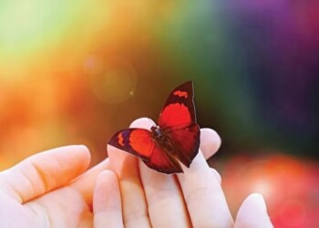 Las resplandecientes