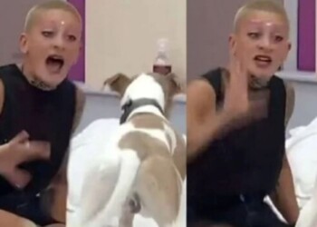 Gran Hermano: los rescatistas de Arturo piden que el perro abandone la casa por la violencia de Furia