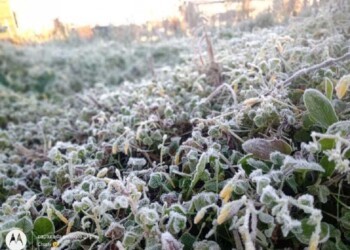 Se registraron las primeras heladas este domingo en Misiones